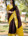 Evanescent Brown Soft Silk Saree With Prominent Blouse Piece