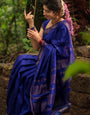 Whimsical Royal Blue Soft Silk Saree With Ethereal Blouse Piece