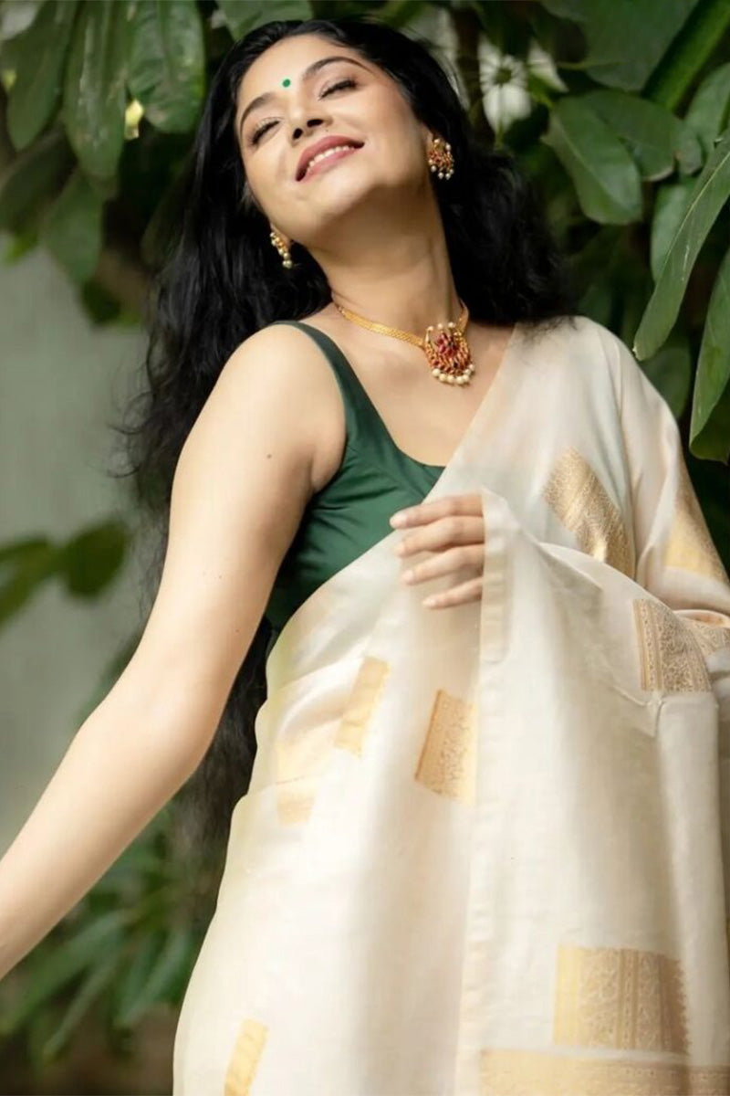 Quixotic Beige Soft Silk Saree With Scrupulous Blouse Piece