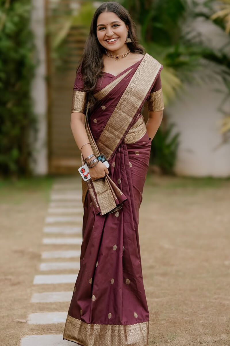 Super classy Wine Soft Silk Saree With Admirable Blouse Piece