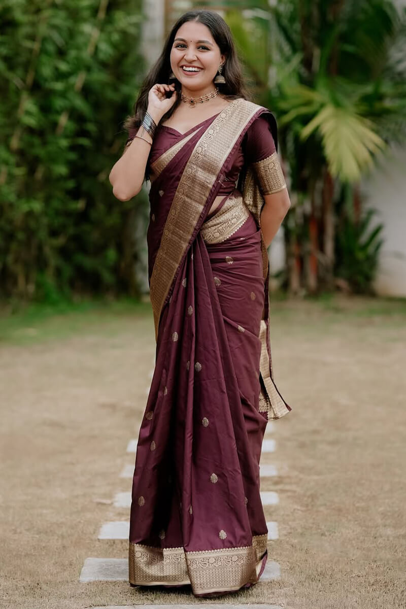 Super classy Wine Soft Silk Saree With Admirable Blouse Piece