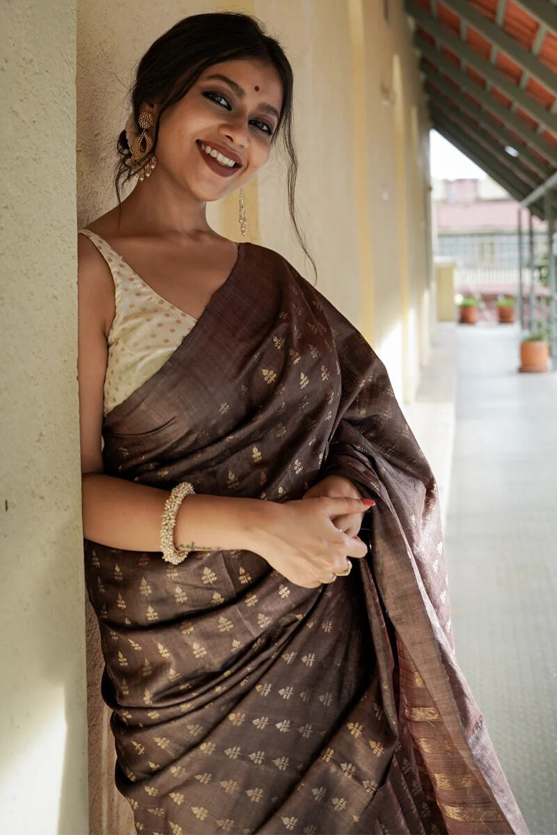 Petrichor Brown Soft Silk Saree With Comely Blouse Piece