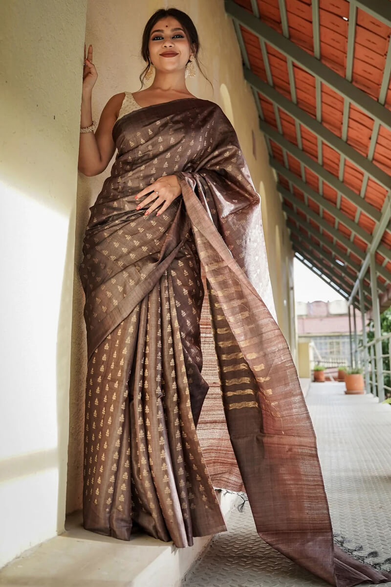 Petrichor Brown Soft Silk Saree With Comely Blouse Piece