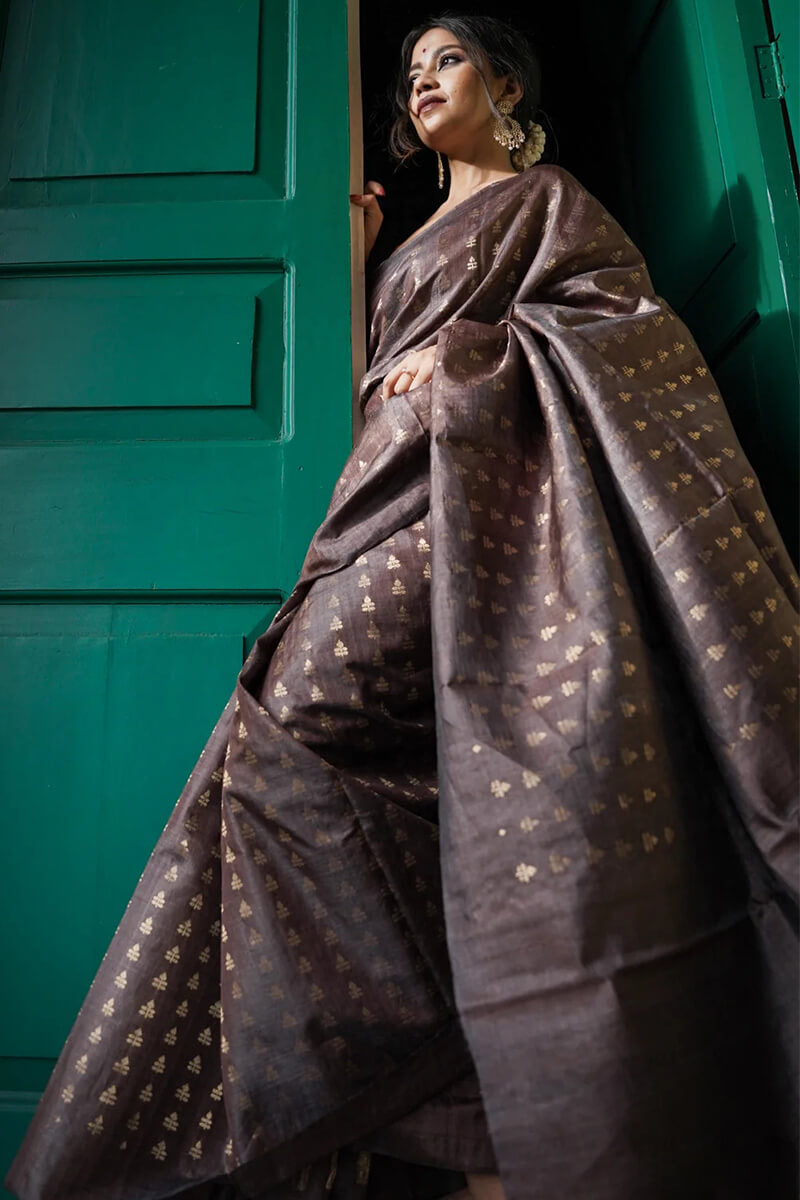 Petrichor Brown Soft Silk Saree With Comely Blouse Piece