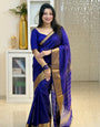 Adoring Royal Blue Soft Silk Saree With Brood Blouse Piece