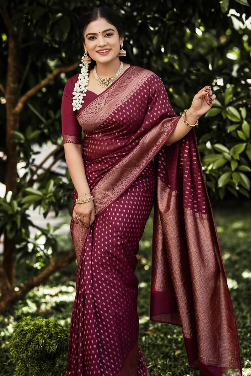 Sensational Wine Soft Silk Saree With Rhapsodic Blouse Piece