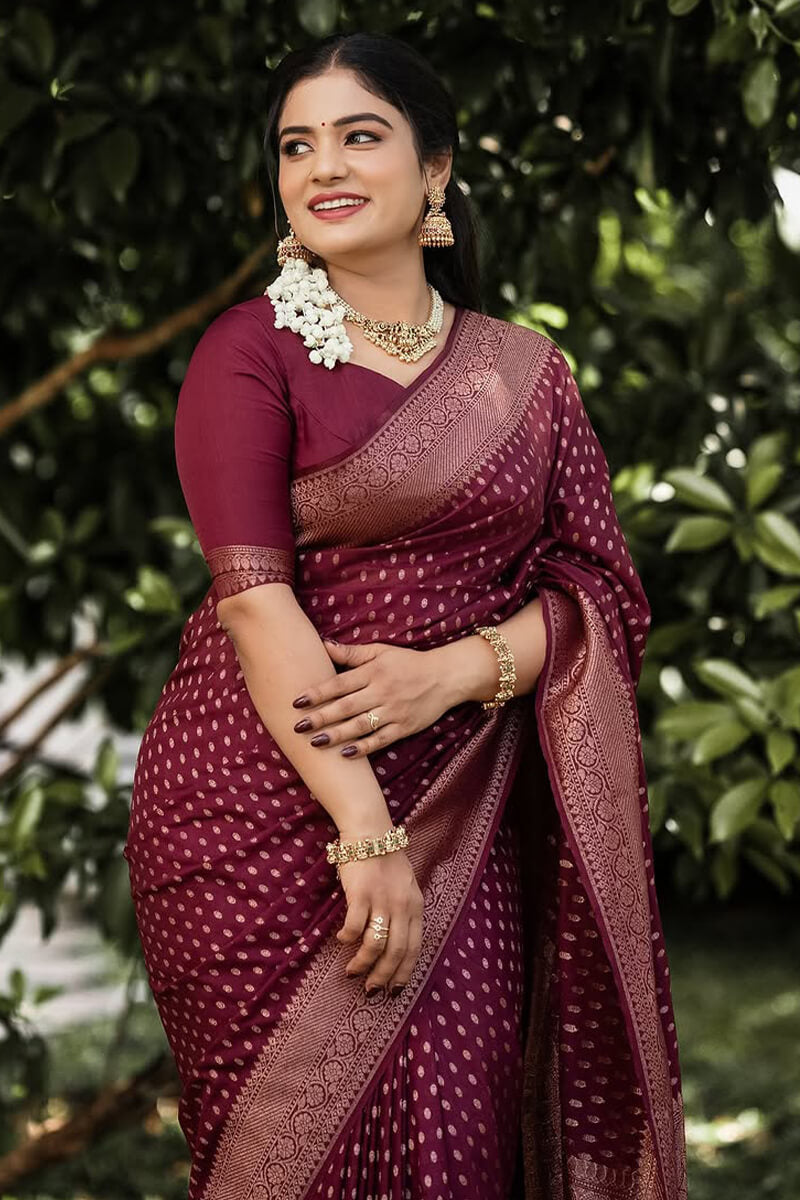 Sensational Wine Soft Silk Saree With Rhapsodic Blouse Piece