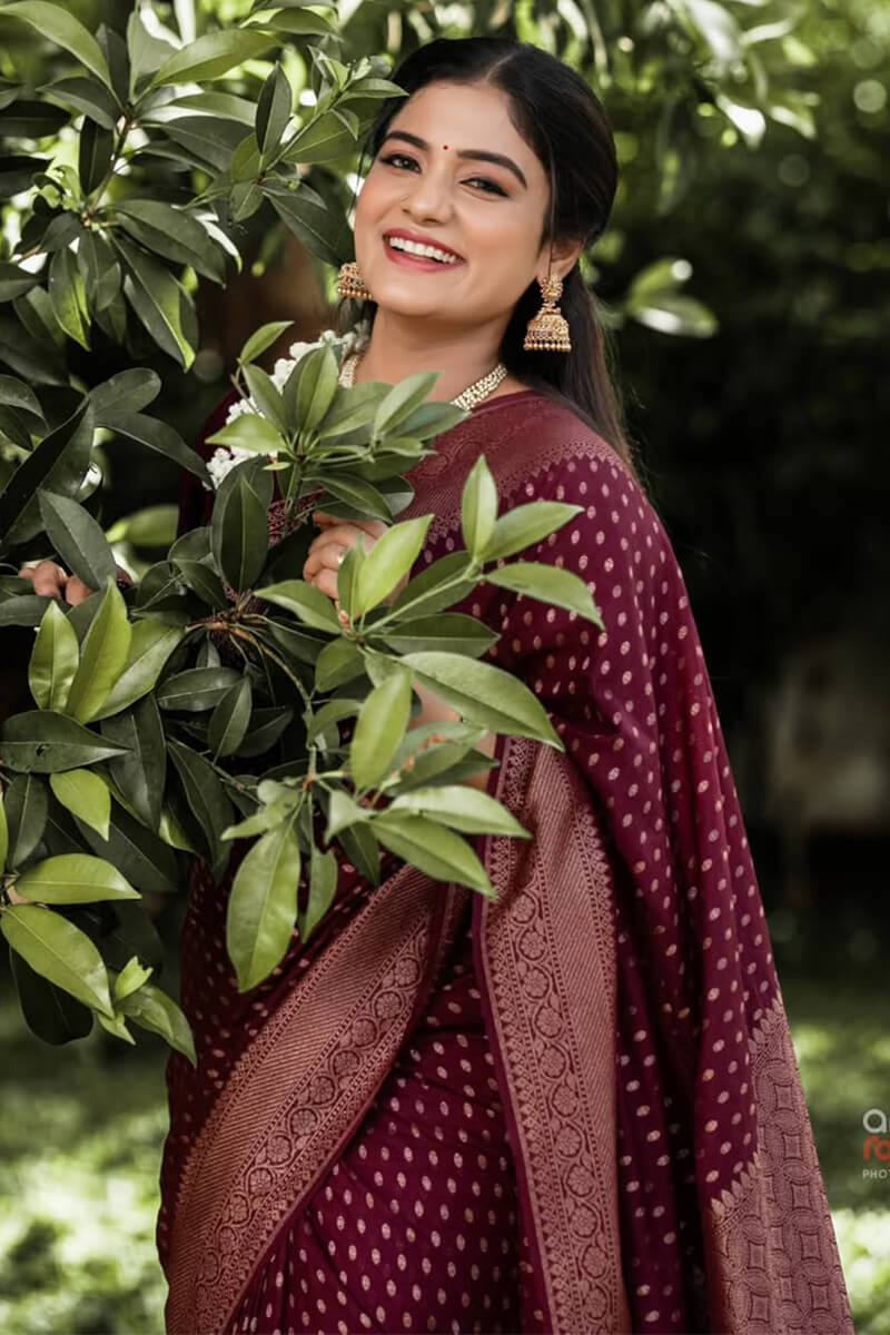 Sensational Wine Soft Silk Saree With Rhapsodic Blouse Piece