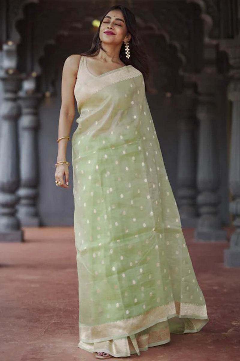 Nebula Pista Linen Silk Saree With Alluring Blouse Piece