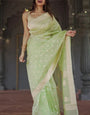Nebula Pista Linen Silk Saree With Alluring Blouse Piece