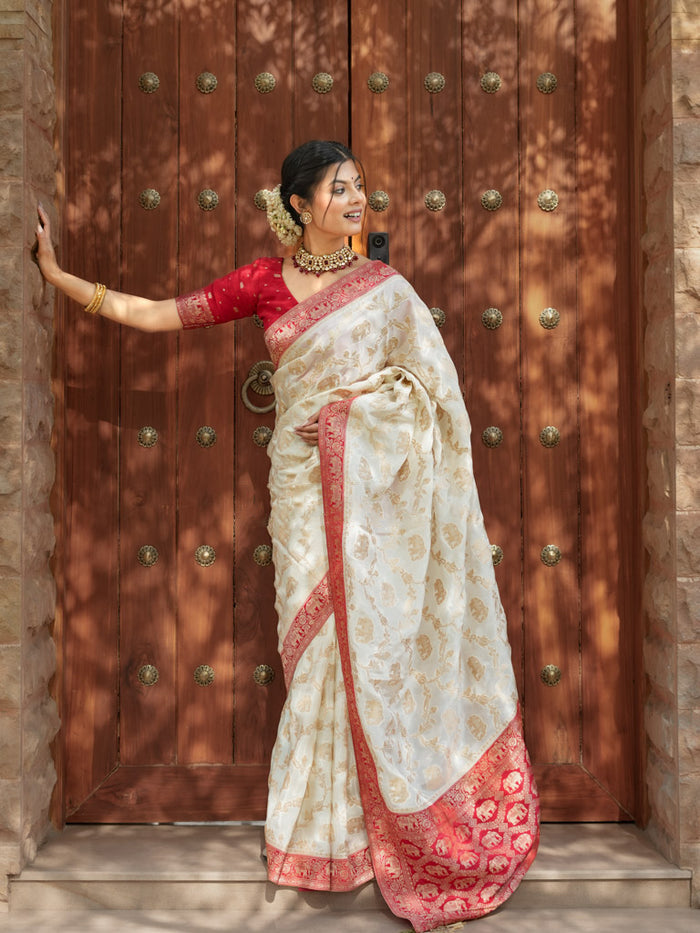 Skinny Beige Soft Silk Saree With Most Whimsical Blouse Piece