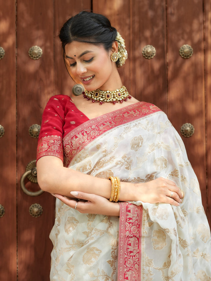 Skinny Beige Soft Silk Saree With Most Whimsical Blouse Piece
