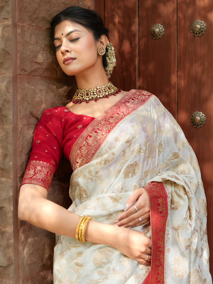 Skinny Beige Soft Silk Saree With Most Whimsical Blouse Piece