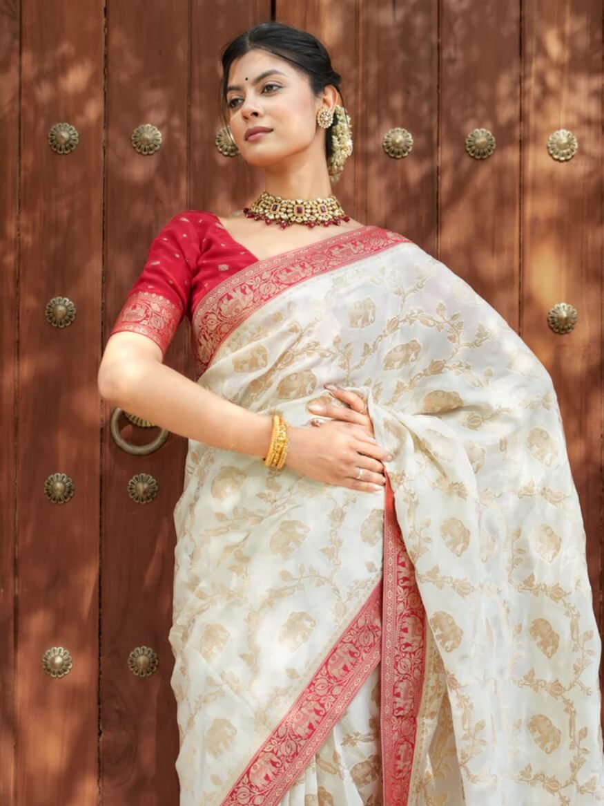 Skinny Beige Soft Silk Saree With Most Whimsical Blouse Piece