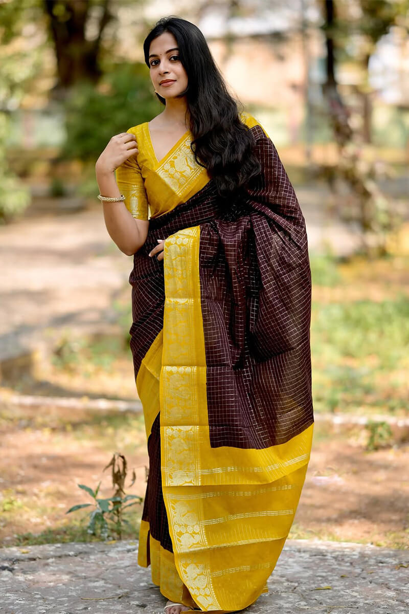 Evanescent Brown Soft Silk Saree With Prominent Blouse Piece