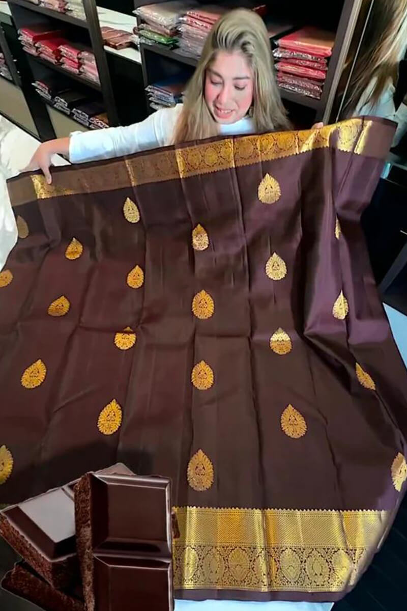 Tremendous Brown Soft Banarasi Silk Saree With Beleaguer Blouse Piece