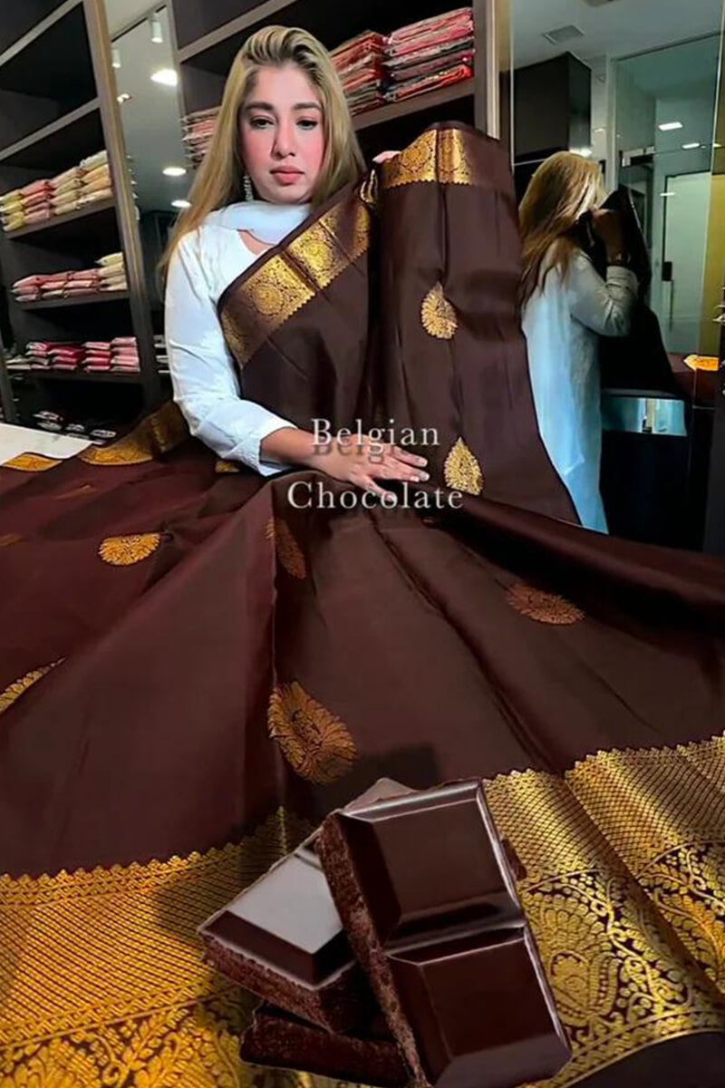 Tremendous Brown Soft Banarasi Silk Saree With Beleaguer Blouse Piece