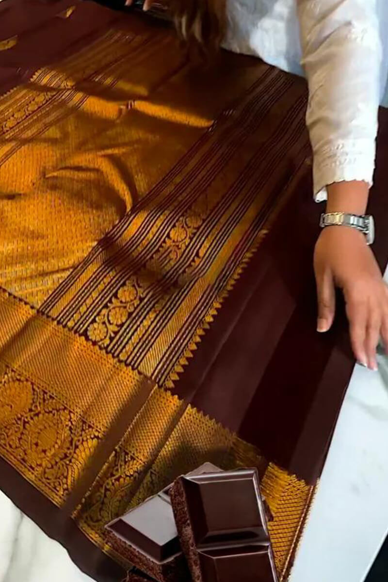 Tremendous Brown Soft Banarasi Silk Saree With Beleaguer Blouse Piece