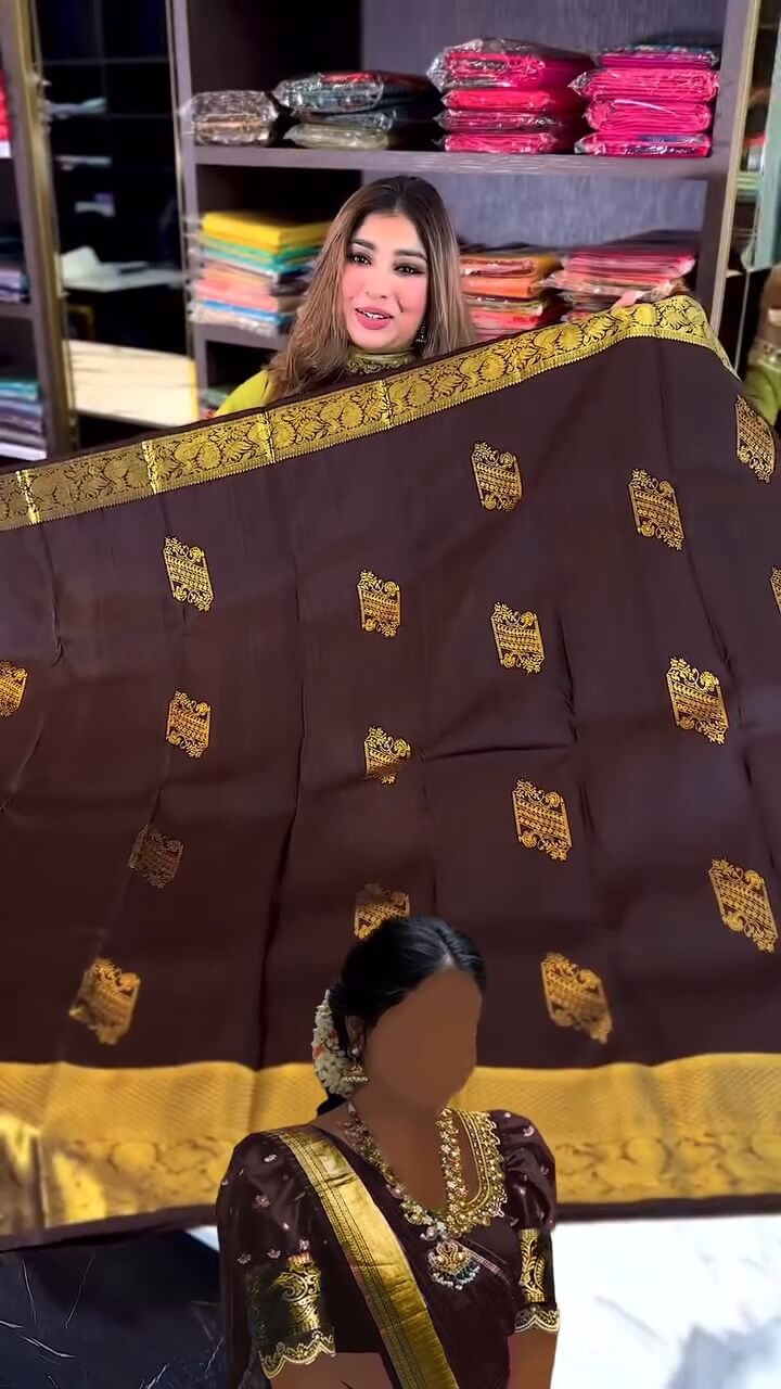 Desuetude Brown Soft Banarasi Silk Saree With Exquisite Blouse Piece