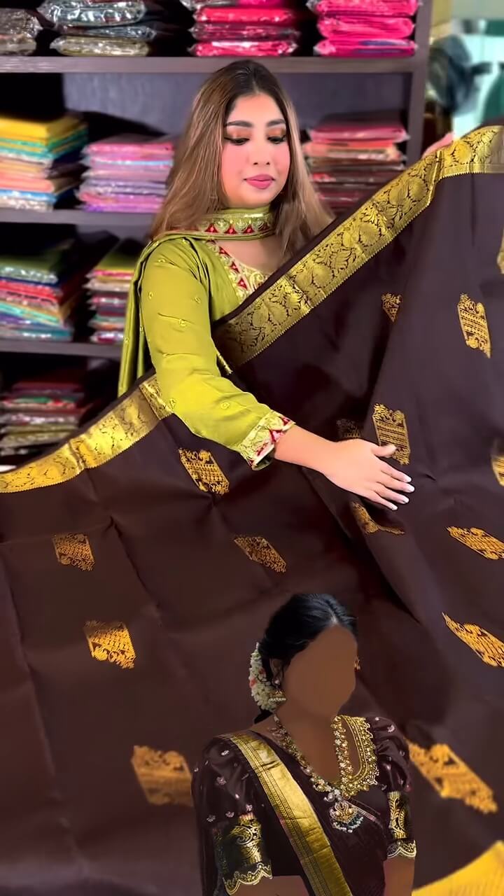 Desuetude Brown Soft Banarasi Silk Saree With Exquisite Blouse Piece