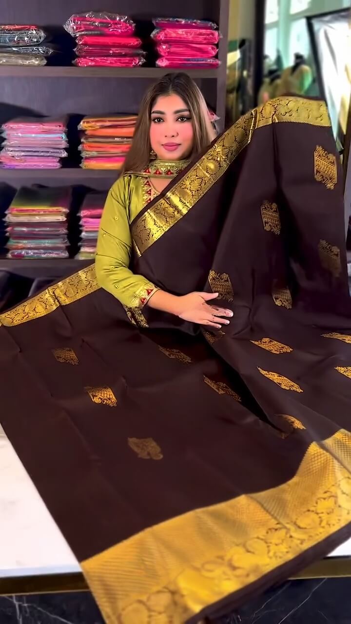 Desuetude Brown Soft Banarasi Silk Saree With Exquisite Blouse Piece