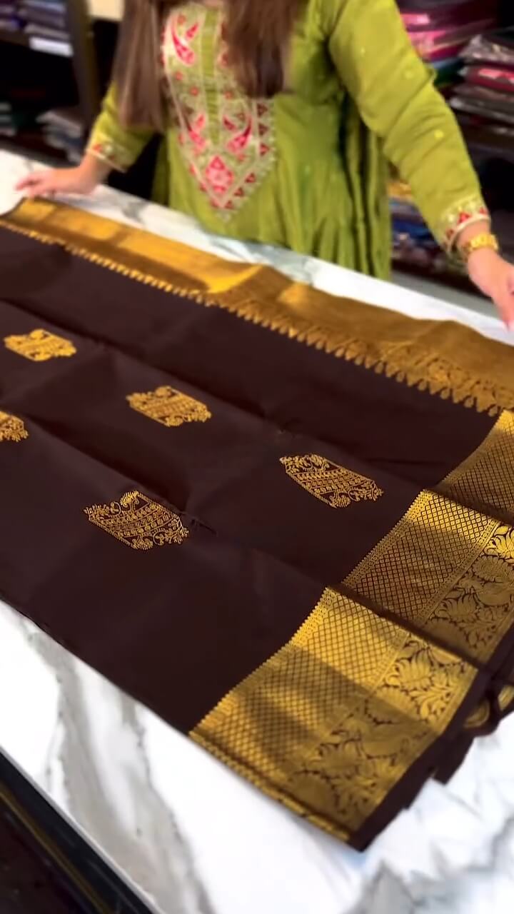 Desuetude Brown Soft Banarasi Silk Saree With Exquisite Blouse Piece