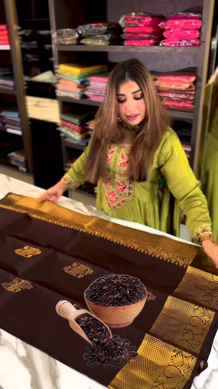 Desuetude Brown Soft Banarasi Silk Saree With Exquisite Blouse Piece