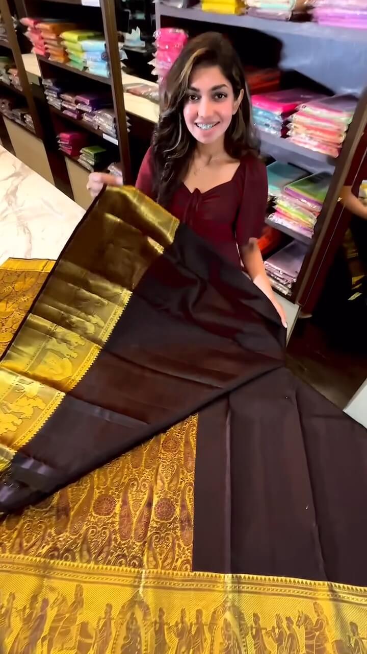 Outstanding Brown Soft Banarasi Silk Saree With Verdant Blouse Piece