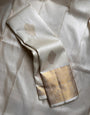 Fugacious Beige Soft Banarasi Silk Saree With A glam Blouse Piece
