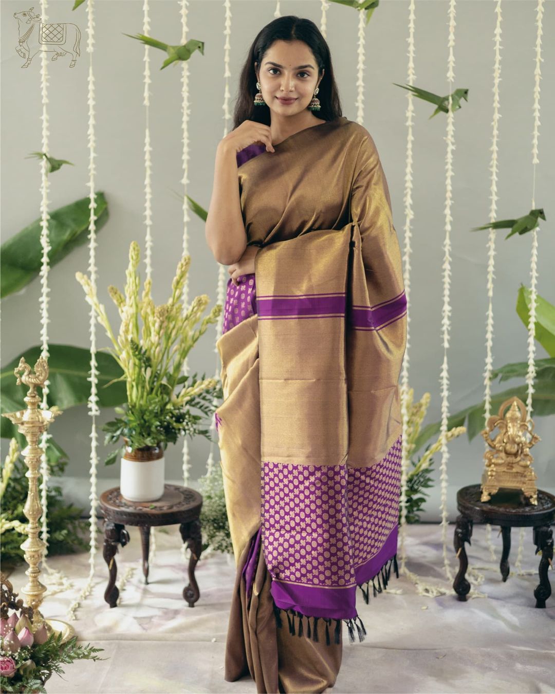 Whimsical Dark Beige Soft Silk Saree With Zephyr Blouse Piece