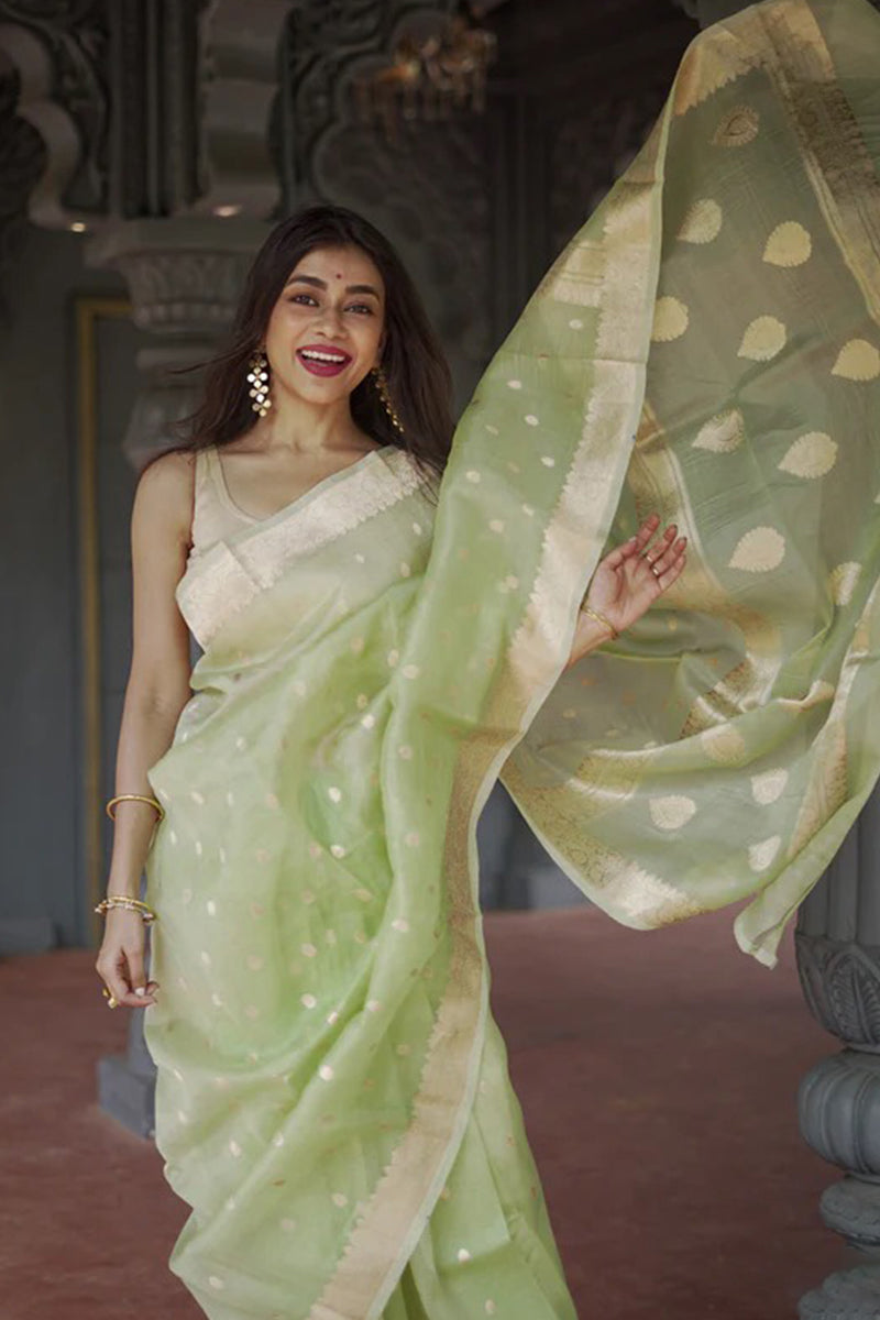 Nebula Pista Linen Silk Saree With Alluring Blouse Piece