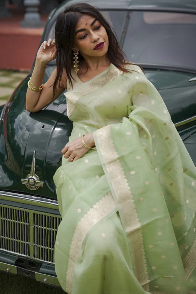 Nebula Pista Linen Silk Saree With Alluring Blouse Piece
