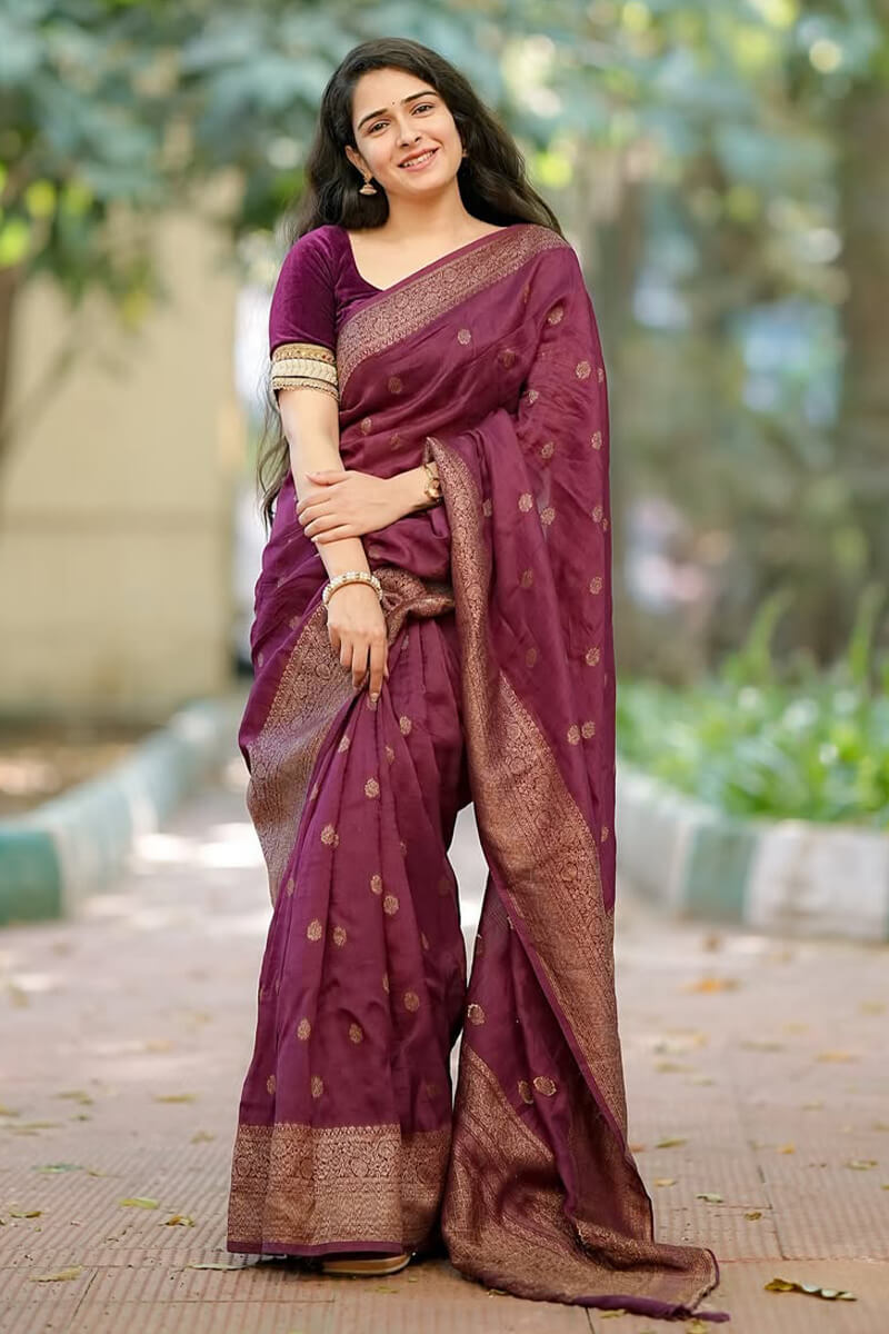 Ratatouille Wine Soft Silk Saree With Ornate Blouse Piece