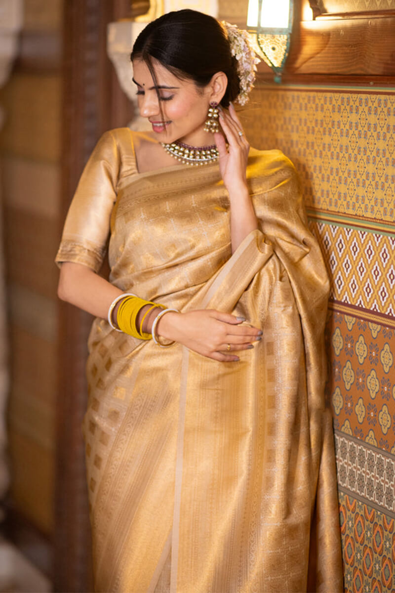 Opulent Beige Soft Silk Saree With Most Flattering Blouse Piece