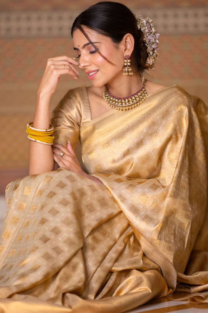 Opulent Beige Soft Silk Saree With Most Flattering Blouse Piece