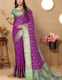 Flamboyant Purple Soft Banarasi Silk Saree With Ailurophile Blouse Piece