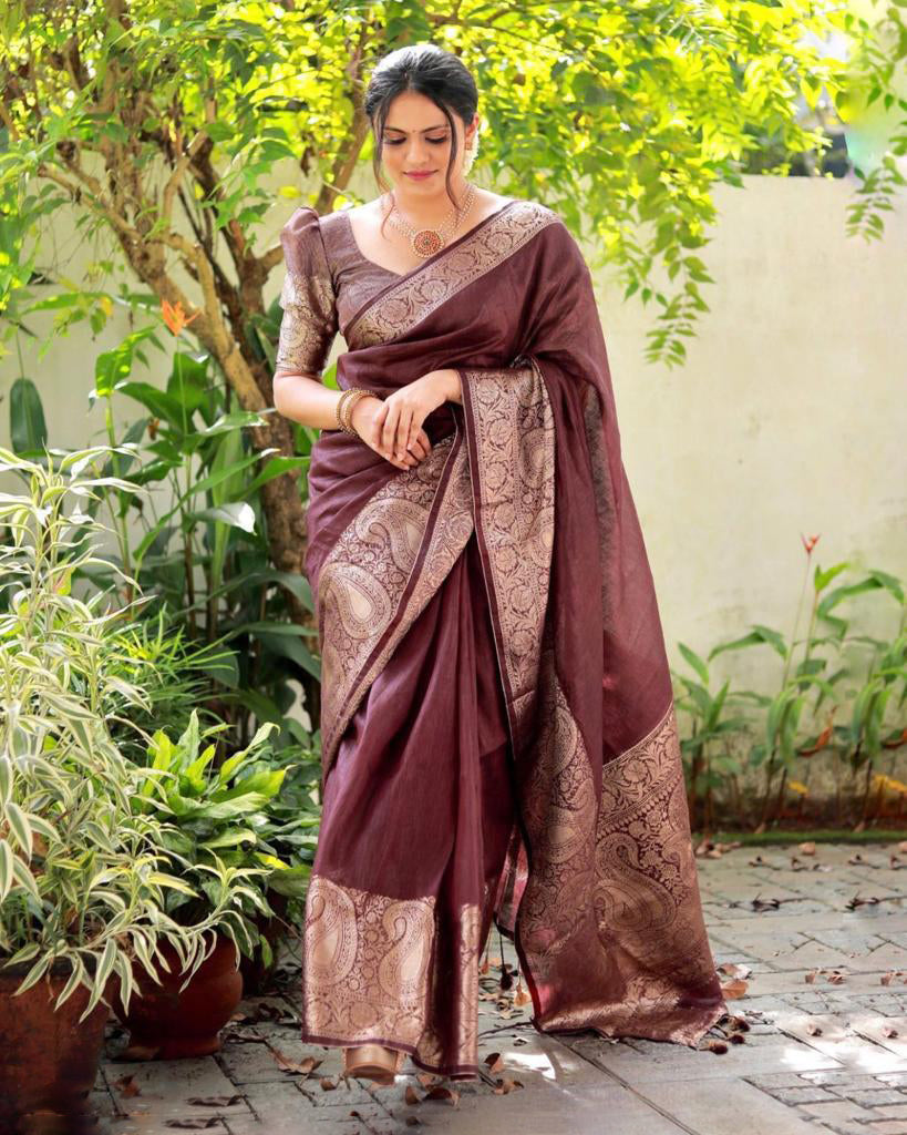 Assemblage Brown Soft Silk Saree With Ethereal Blouse Piece