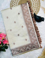 Epiphany Brown Embroidery Work Tussar Silk Saree With Beleaguer Blouse Piece