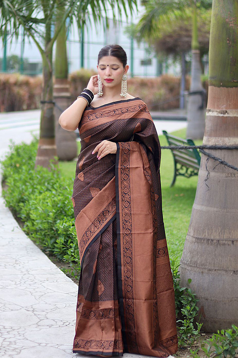 Trendy Black Soft Silk Saree With Engaging Blouse Piece