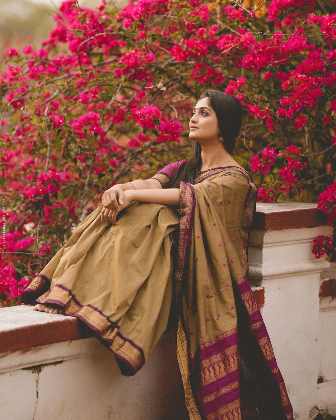 Ornate Dark Beige Soft Silk Saree With Radiant Blouse Piece