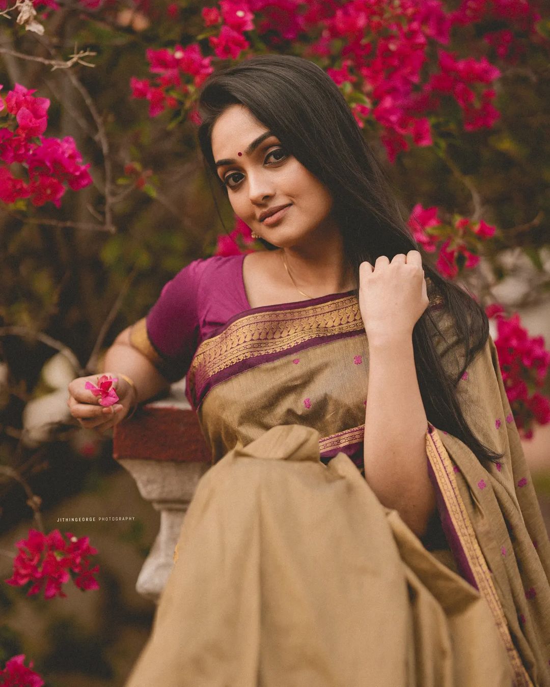 Ornate Dark Beige Soft Silk Saree With Radiant Blouse Piece