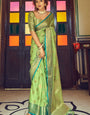 Quintessential Pista Soft Banarasi Silk Saree With Bewitching Blouse Piece