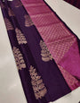 Ephemeral Wine Soft Silk Saree With Denouement Blouse Piece