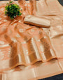 Elaborate Peach Orgeanza Silk Saree With Fairytale Blouse Piece