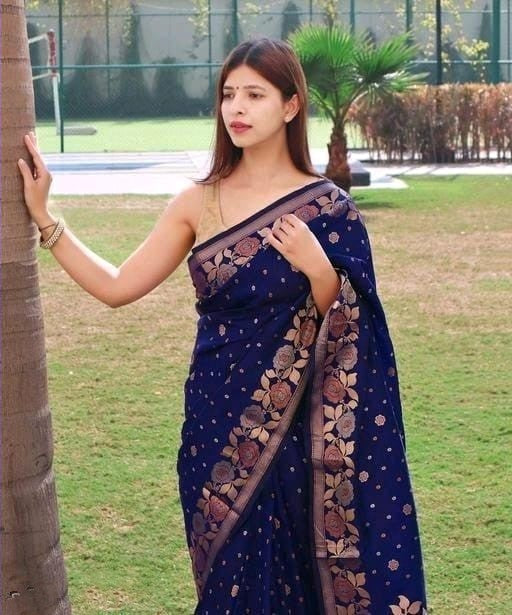 Radiant Navy Blue Soft Silk Saree With Super Nectarous Blouse Piece