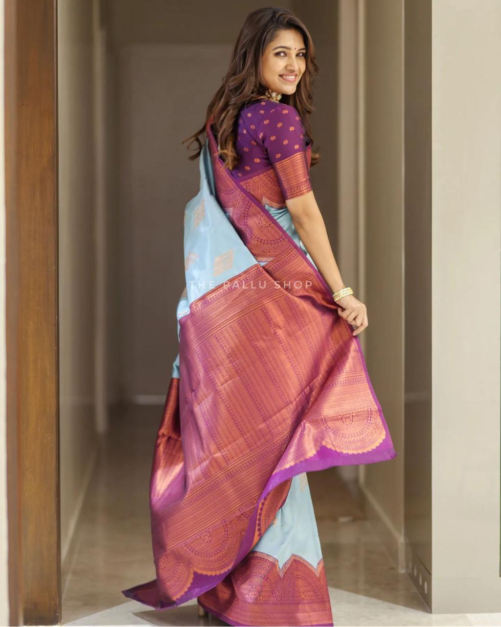 Gratifying Sky Soft Silk Saree With Splendiferous Blouse Piece