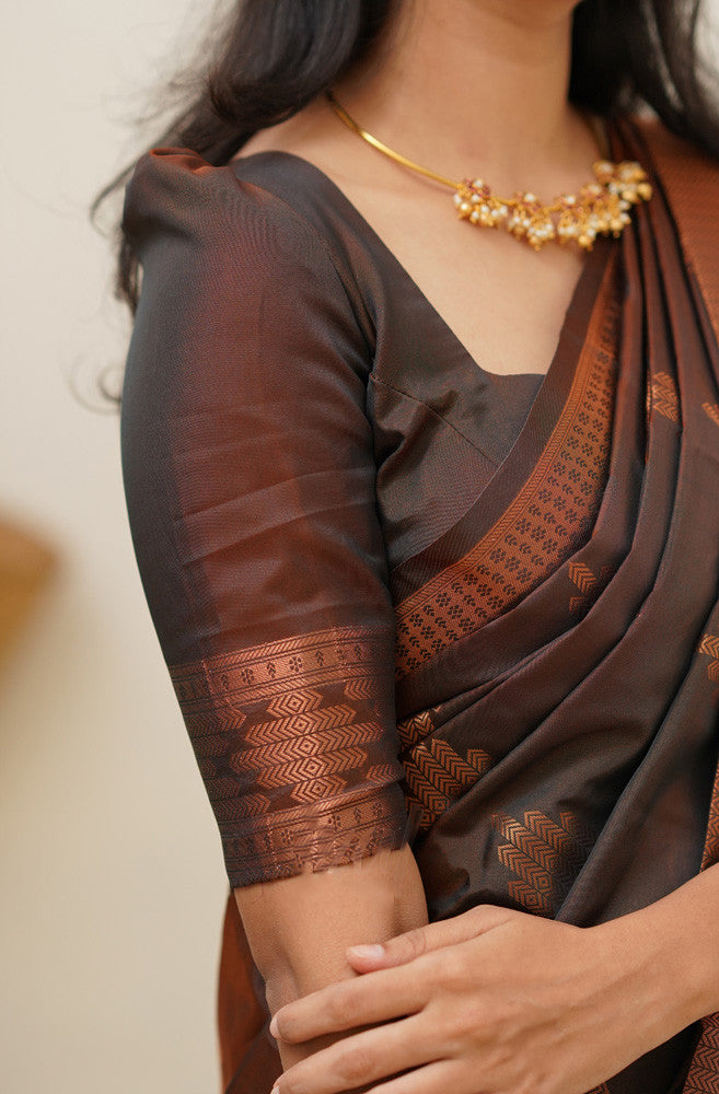 Enigmatic Brown Soft Silk Saree With Delectable Blouse Piece