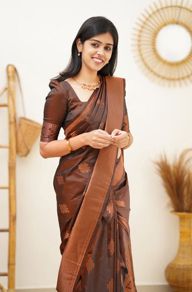 Enigmatic Brown Soft Silk Saree With Delectable Blouse Piece