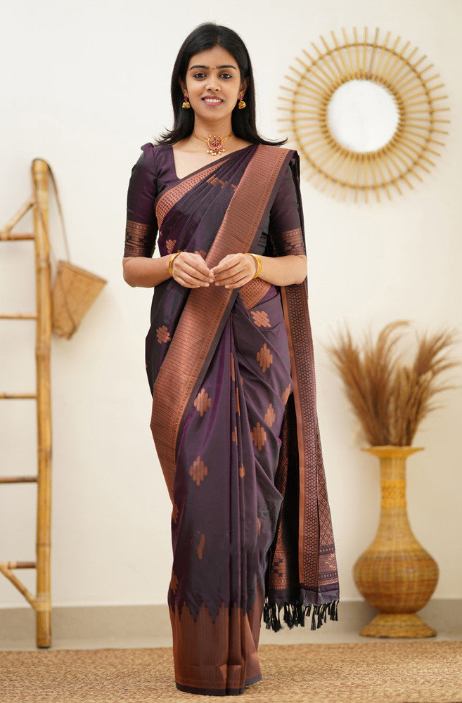 Scrumptious Purple Soft Silk Saree With Woebegone Blouse Piece