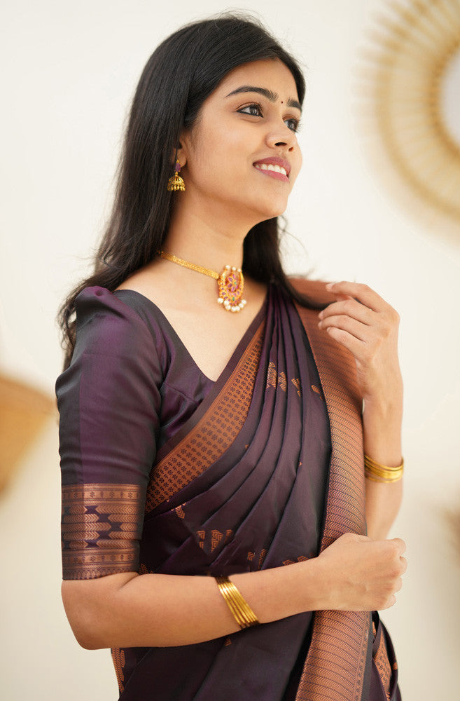 Scrumptious Purple Soft Silk Saree With Woebegone Blouse Piece